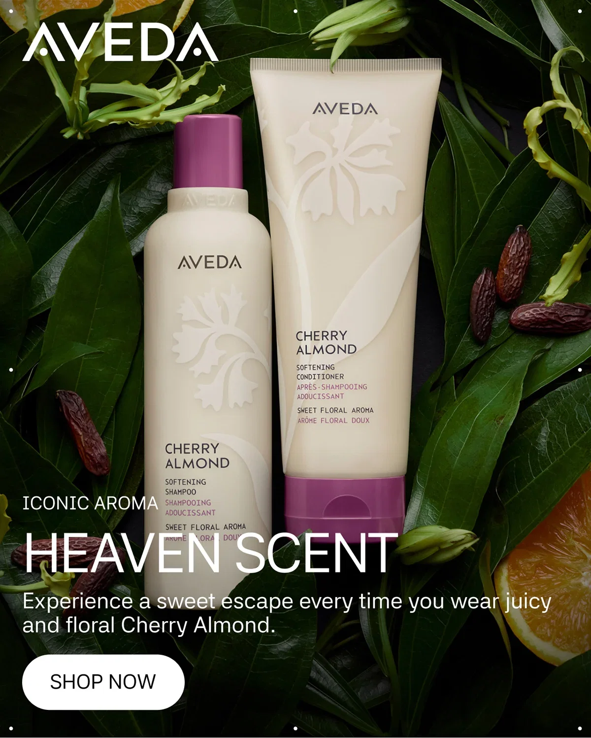 AVEDA | ICONIC AROMA | HEAVEN SCENT | Experience a sweet escape every time you wear juicy and floral Cherry Almond. | SHOP NOW