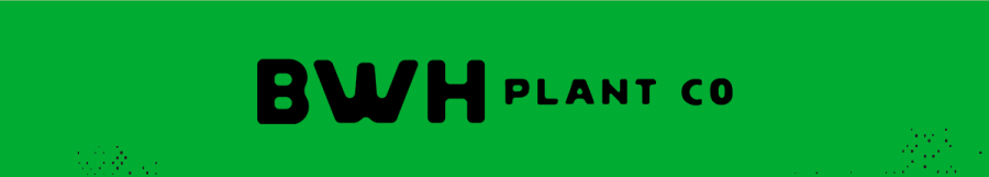 BWH Plant Co Logo