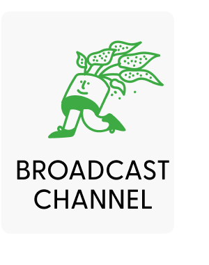 Broadcast Channel