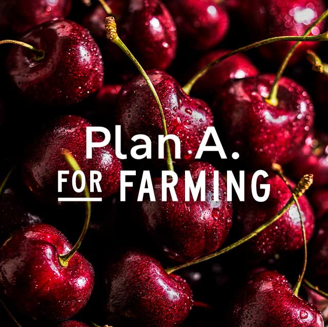 Plan A. For farming