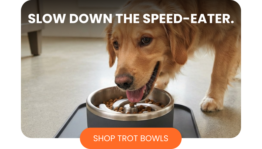 Slow down the speed-eater.