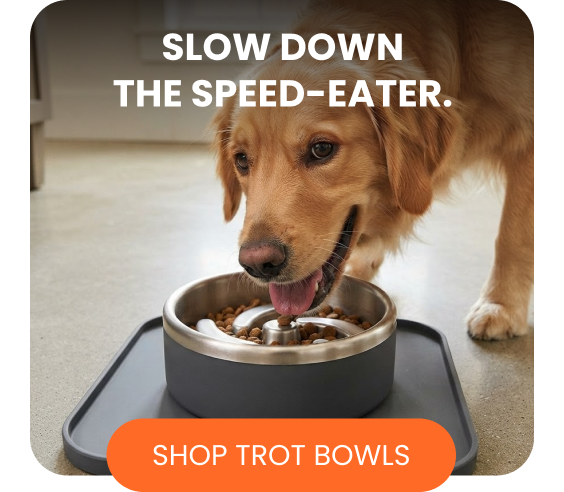 Slow down the speed-eater.