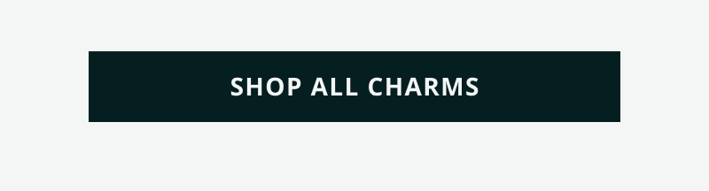 Click here to shop all charms