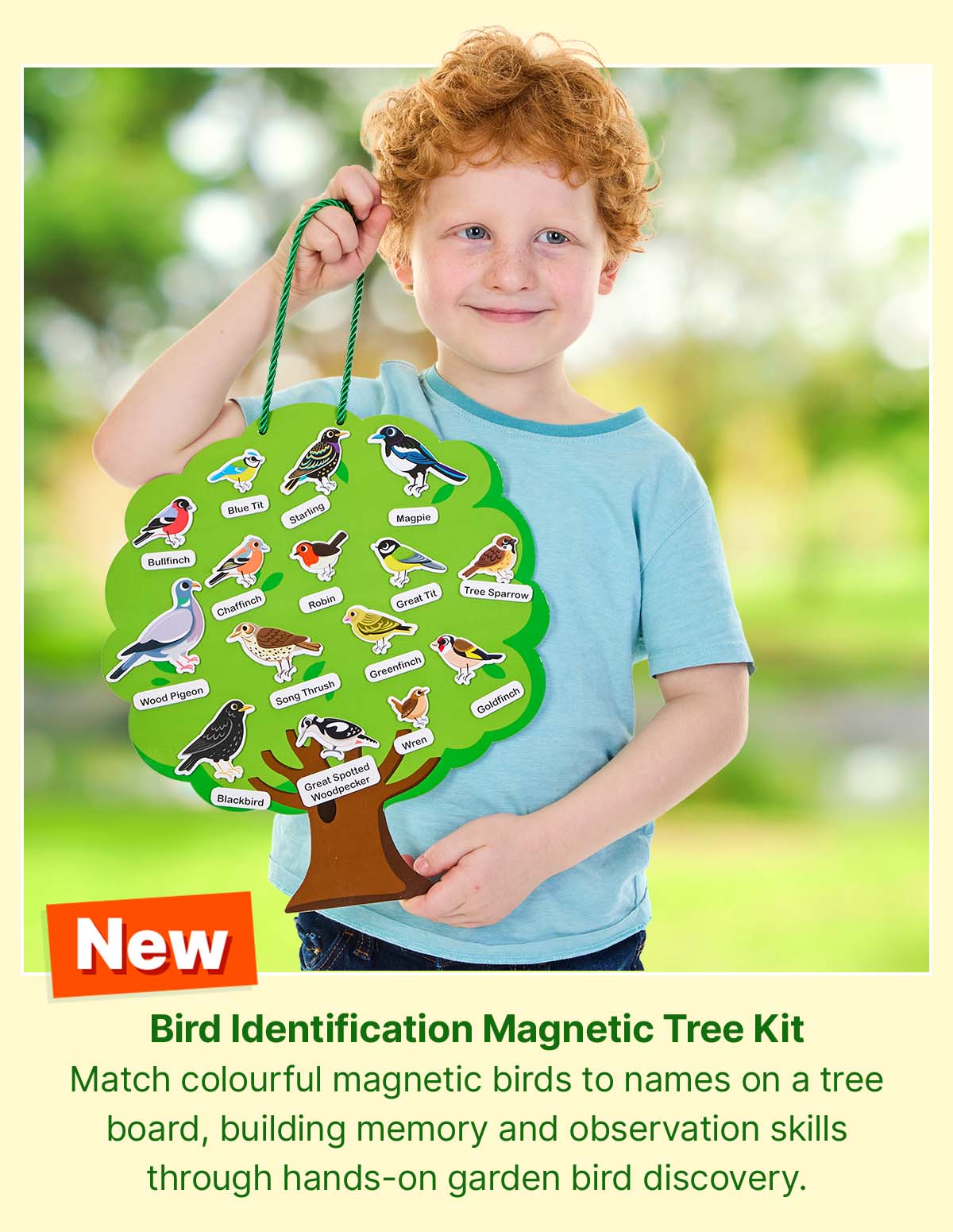Bird Identification Magnetic Tree Kit