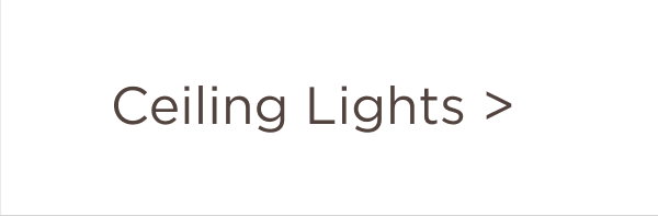 Ceiling Lights