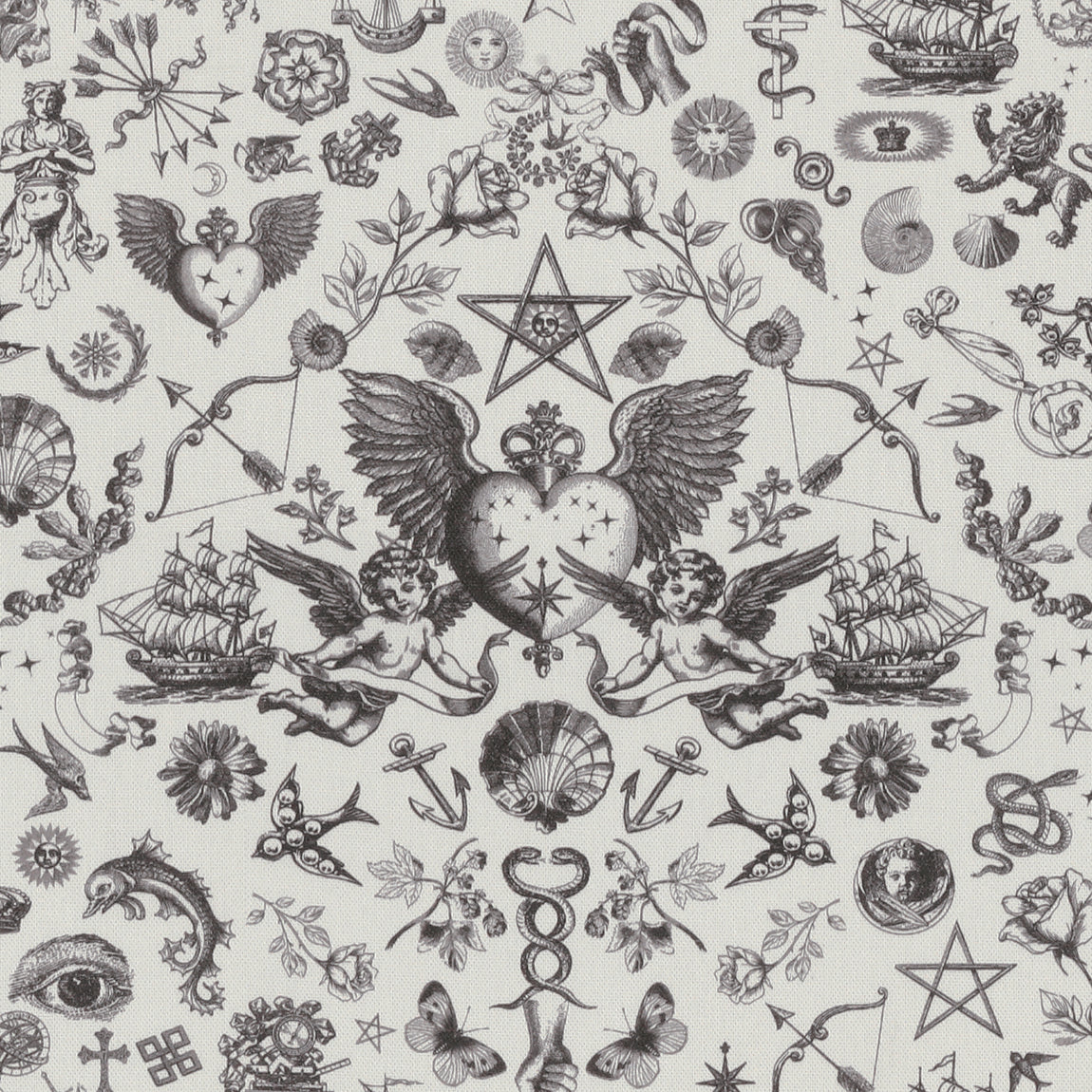 New Brand Carrie Neely
