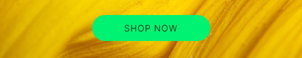 Shop Now at Plant Therapy