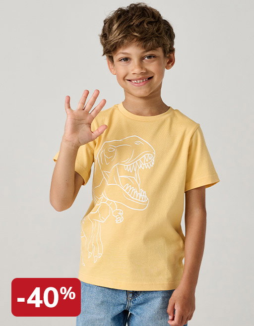 Printed boy's t-shirt