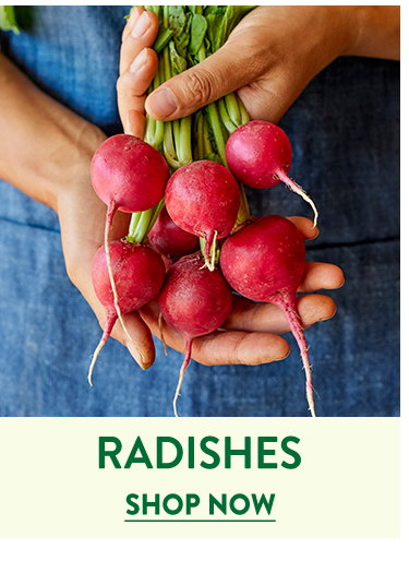 Radish Seeds