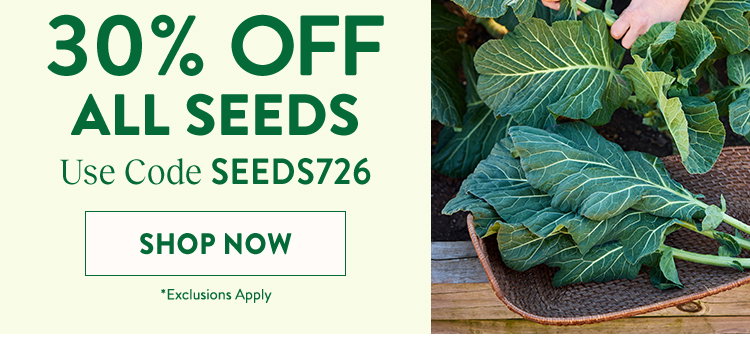 Fall Harvest Vegetable Seeds & Plants