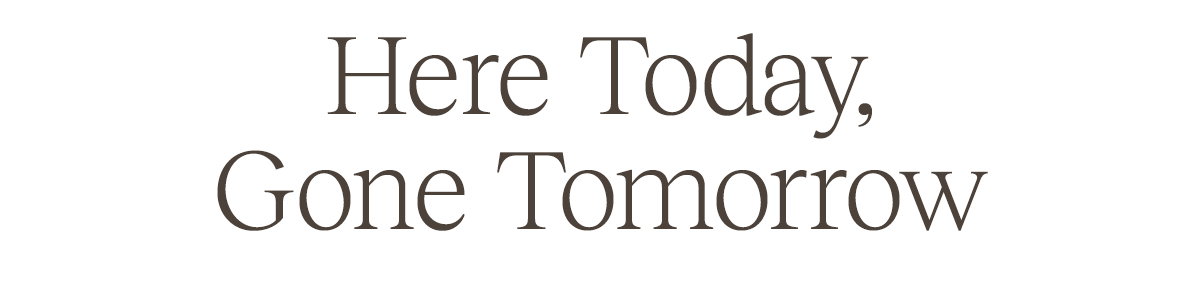 Here Today, Gone Tomorrow
