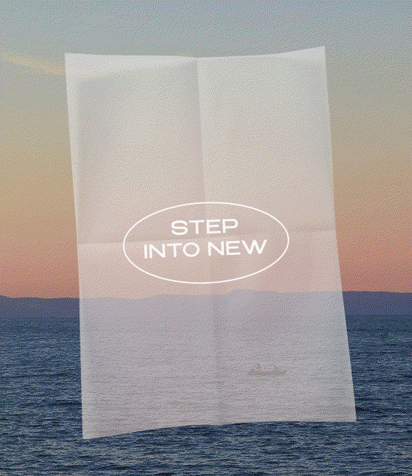 STEP INTO NEW