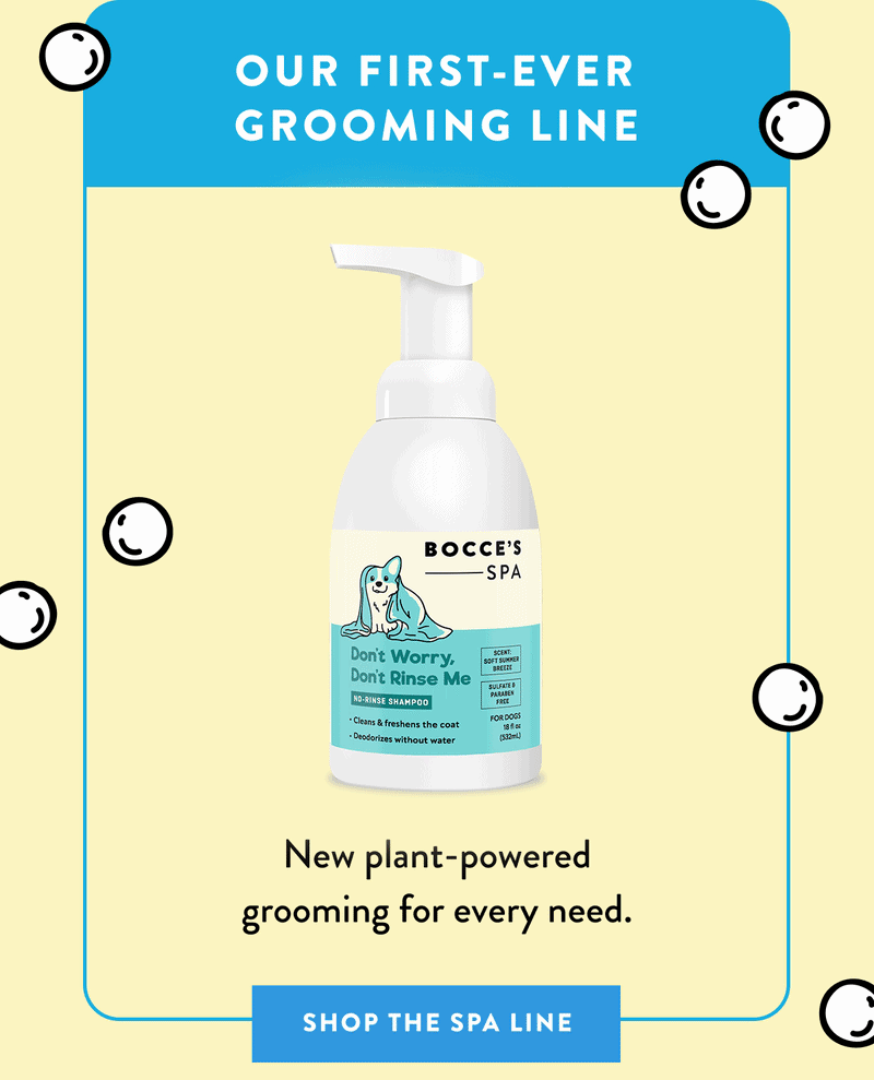 Shop the Spa Line