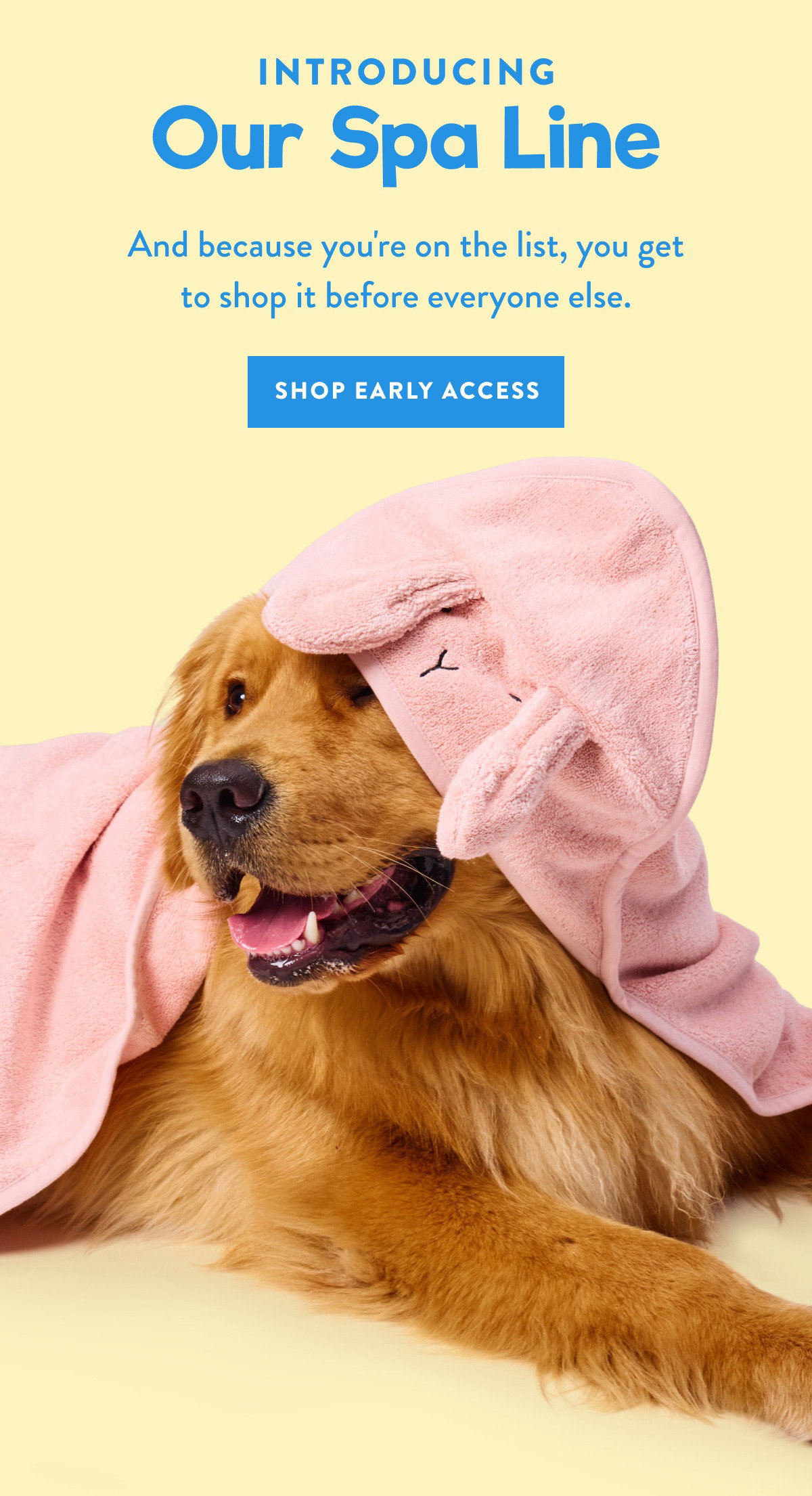 Shop the Spa Line