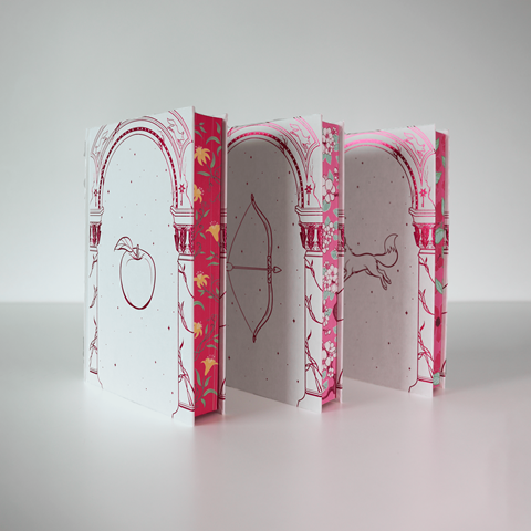 Once Upon a Broken Heart Deluxe Box Set