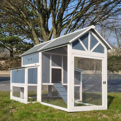 Poulailler Deluxe bleu toit shingle gris 10 à 12 poules