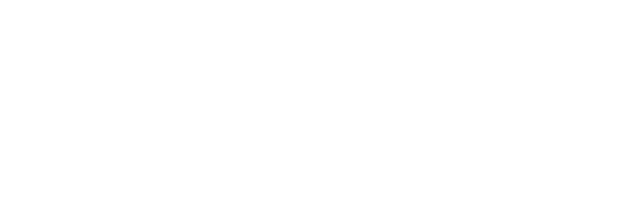 P448