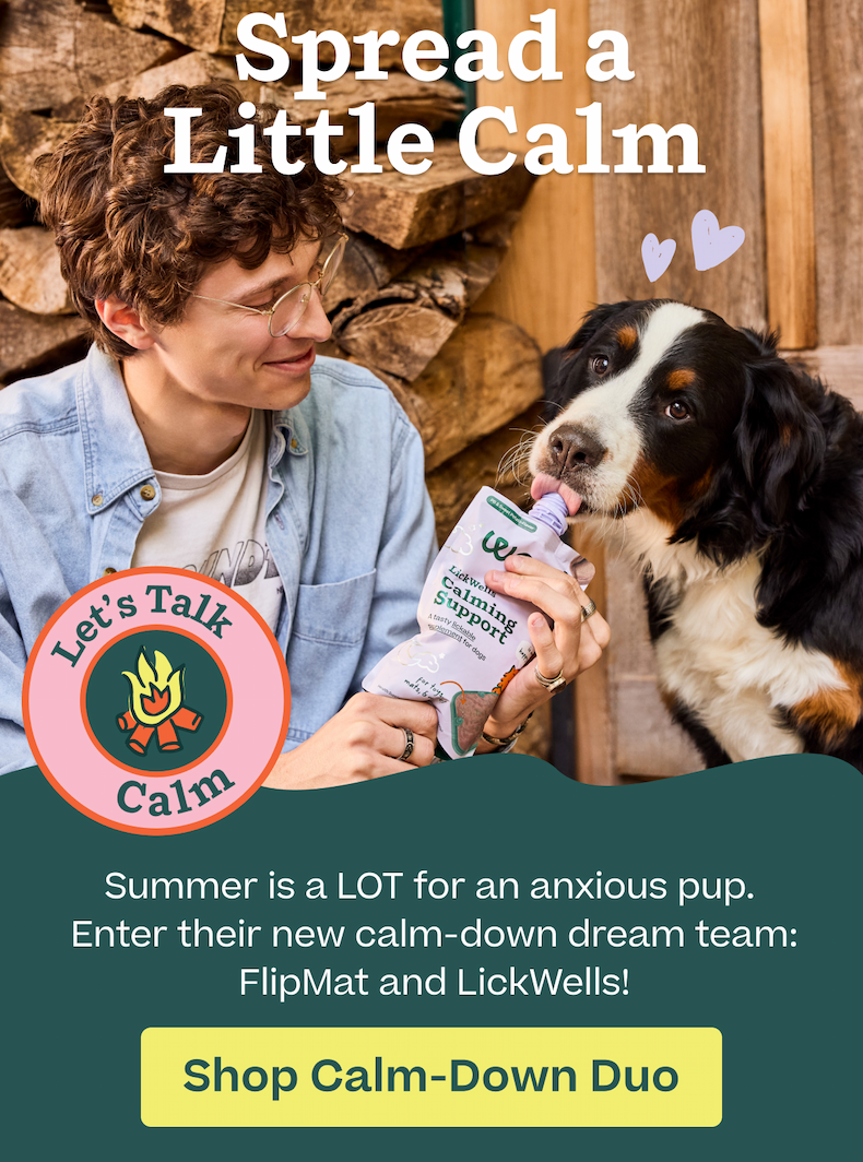 Summer is a LOT for an anxious pup. Enter their new calm-down dream team: FlipMat and LickWells!