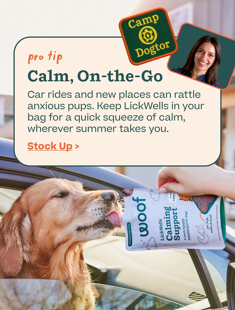Shop LickWells Calming Support 