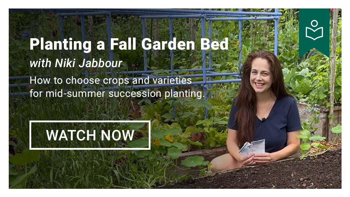 Planting a Fall Garden Bed • Mid-Summer Succession Planting- Watch Now
