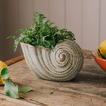 Conch Stoneware Planter