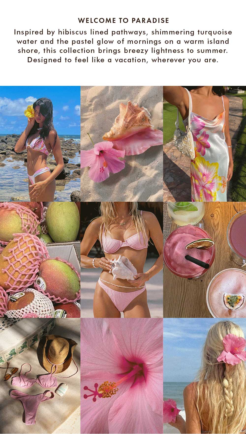 Shop the Collection