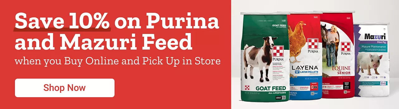 Purina Feed 10% BOPIS