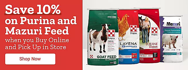 Purina Feed 10% BOPIS