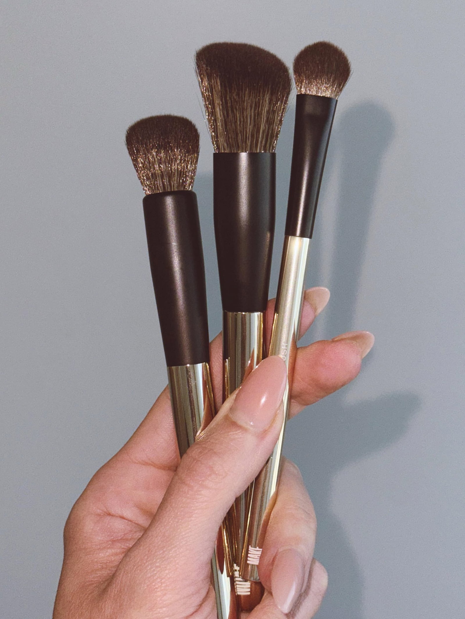 ultimate blend brush set