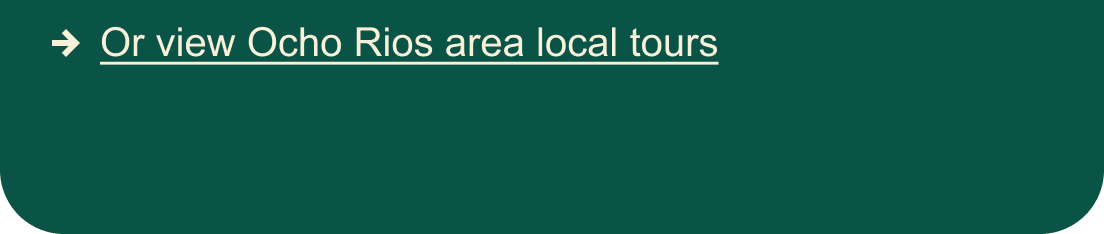 Local Tours