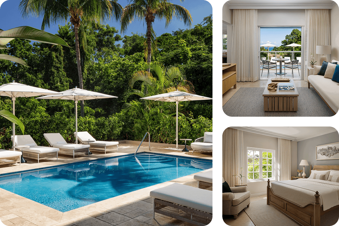 Tropical Oasis