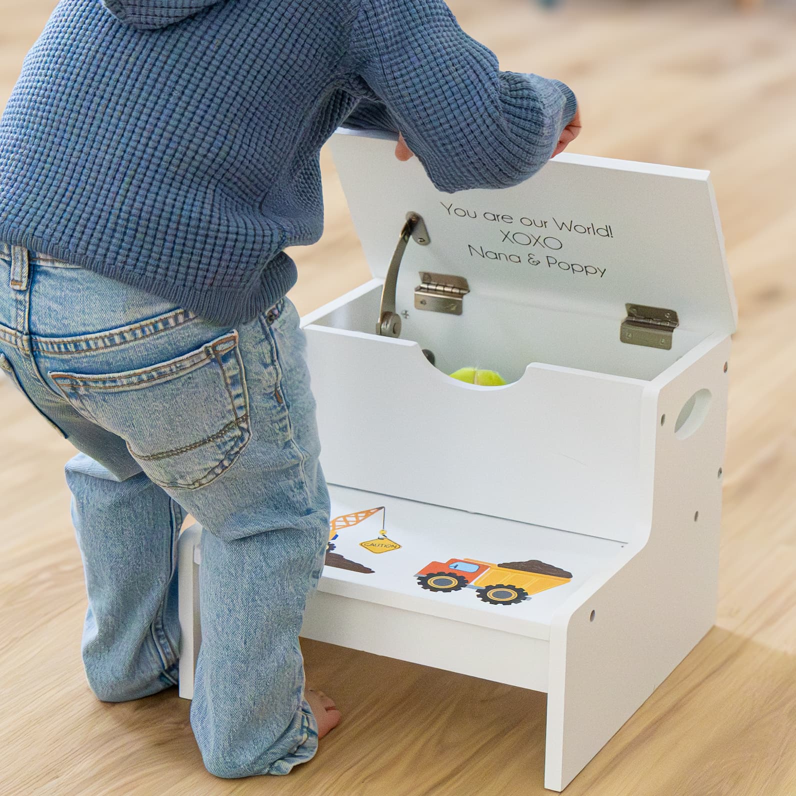 Storage Step Stool