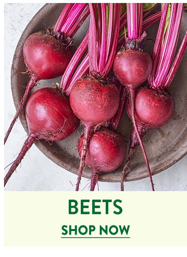 Beet Seeds