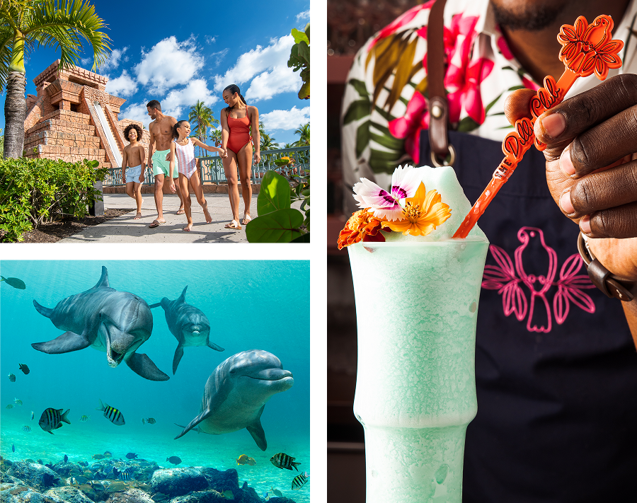 Grid showing a family walking by a water slide, swimming dolphins, and a tropical frozen cocktail.