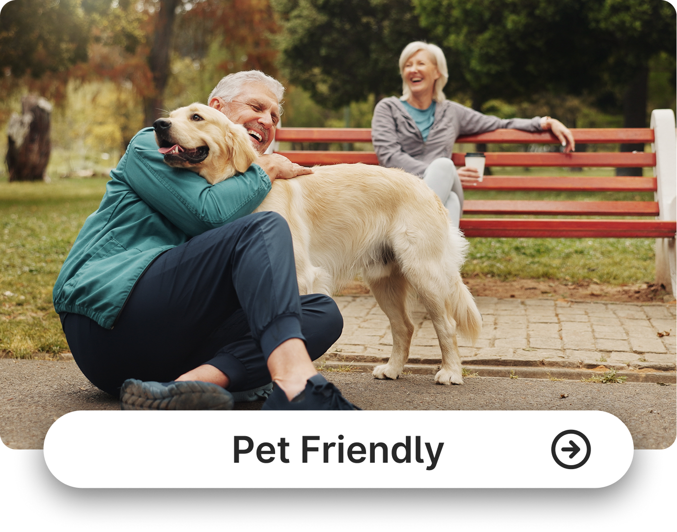 pet friendly