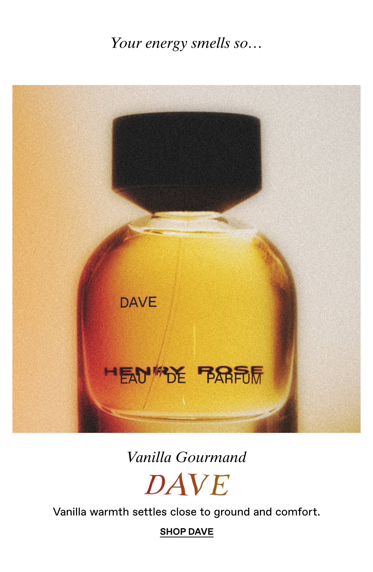 Dave: Comfort and Grounding