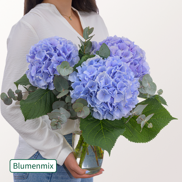 Blaue Hortensien mit Eukalyptus im Bund und 2 Gratis-Geschenken für 29,99 €