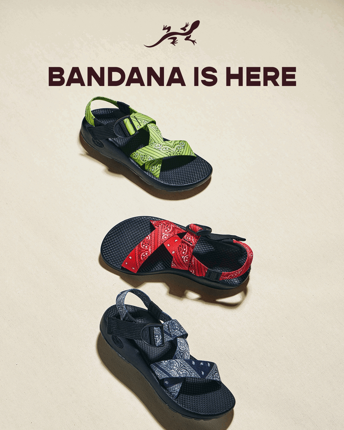 Chaco - Bandana is here