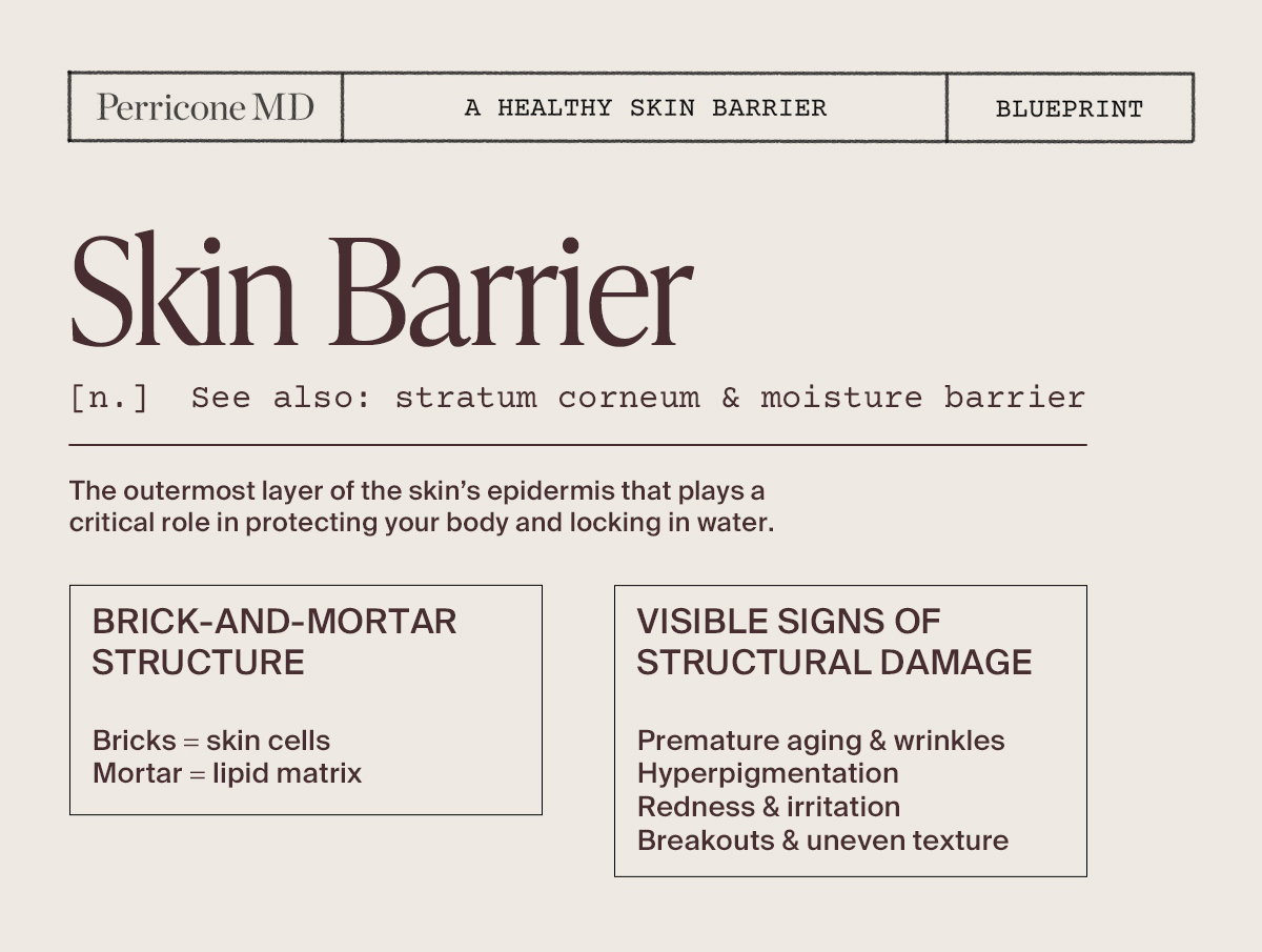 Skin Barrier