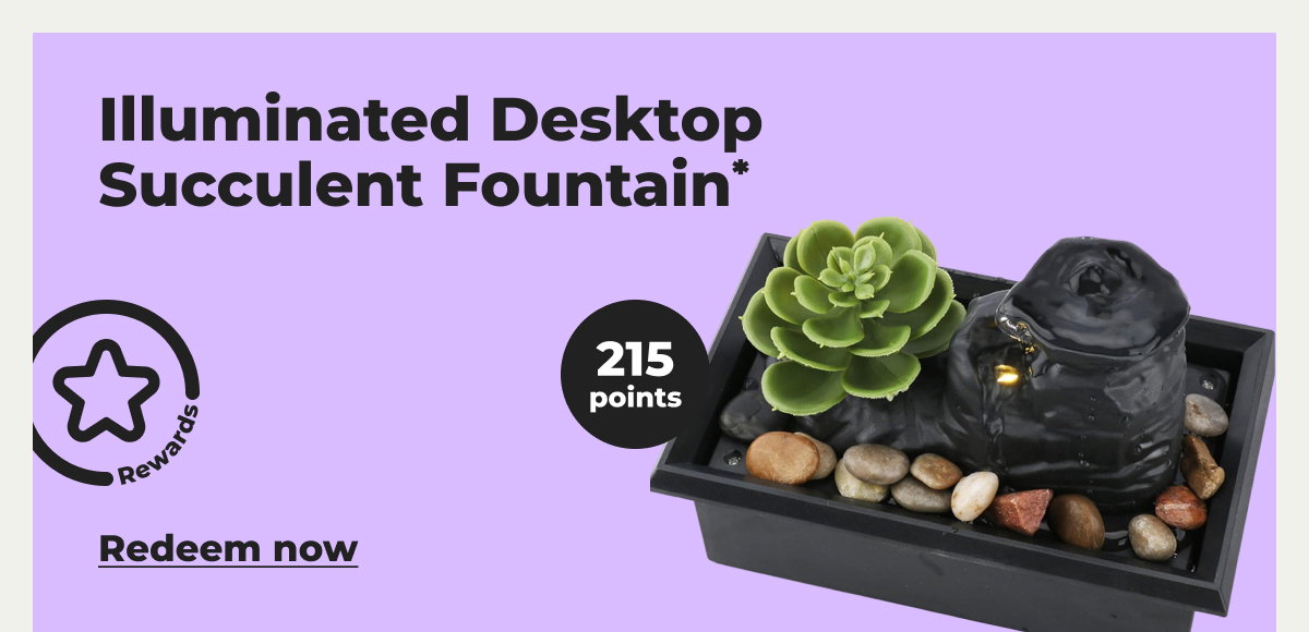 Illuminated Desktop Succulent Fountain* - Redeem now 