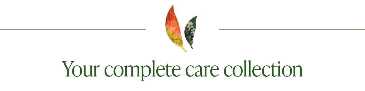Your complete care collection. Shop all offers