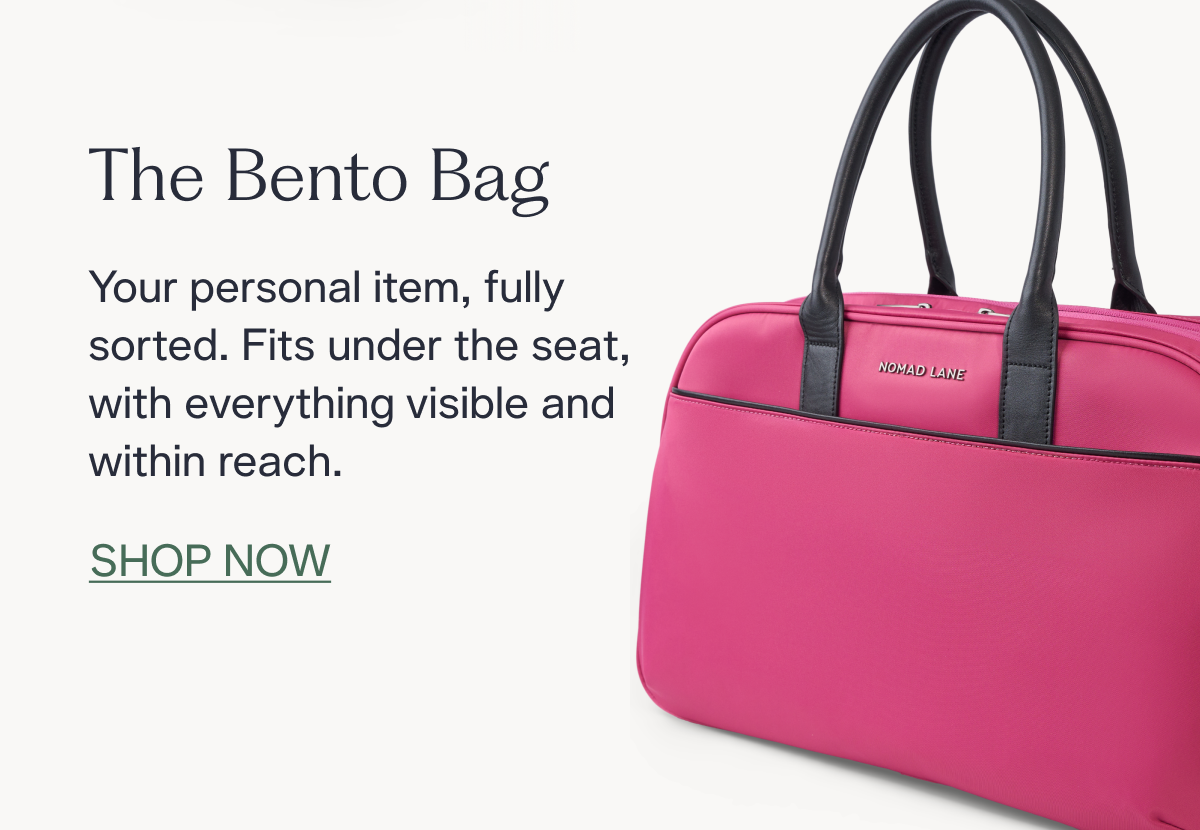 The Bento Bag