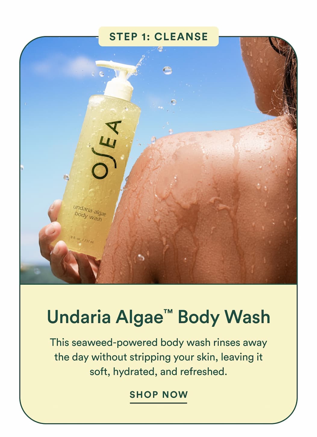 Undaria Algae™ Body Wash : This seaweed-powered body wash rinses away the day without stripping your skin, leaving it soft, hydrated, and refreshed.
