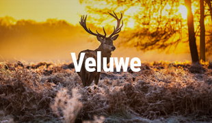 TopParken op de Veluwe