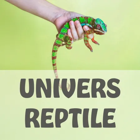 Univers reptile