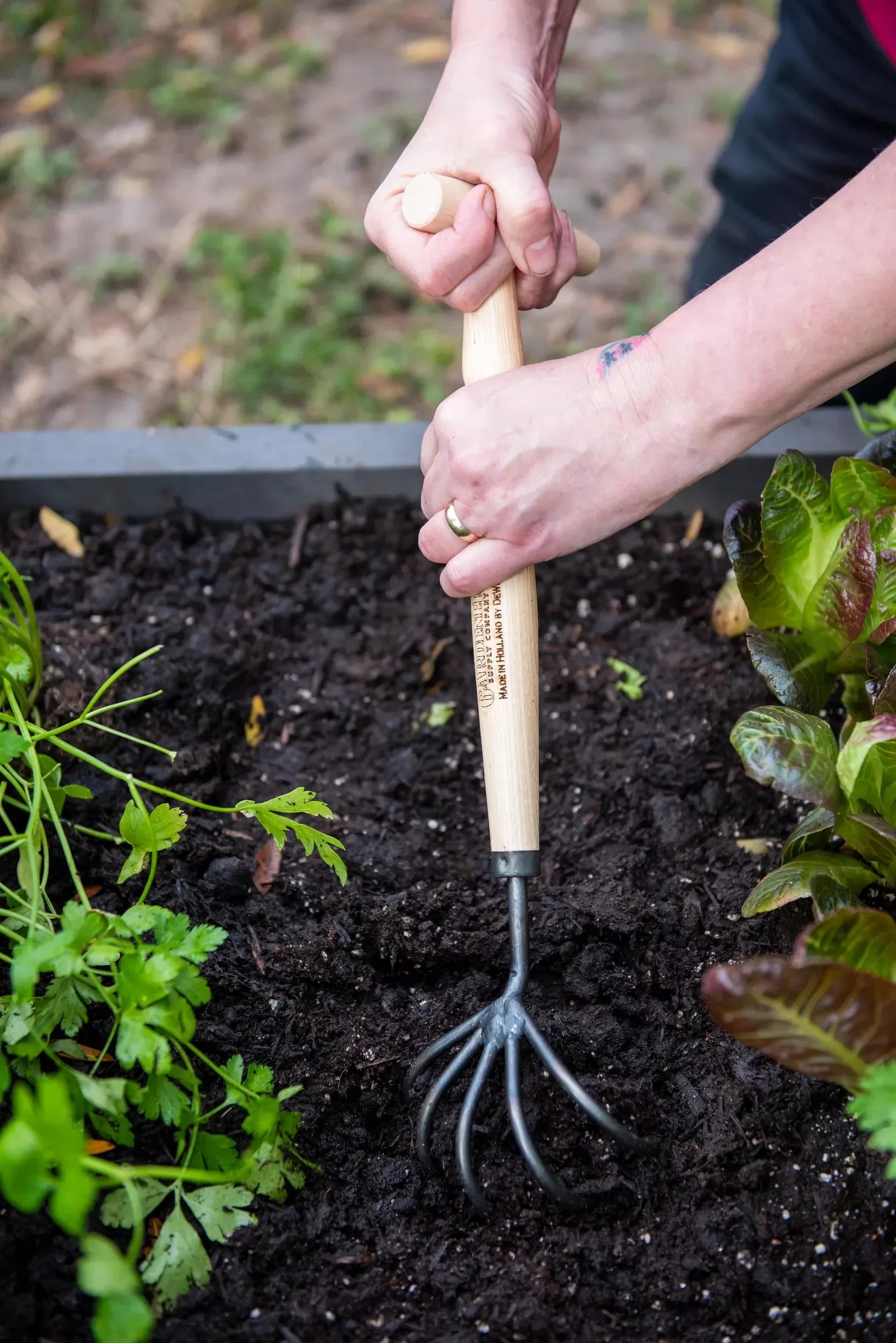 Image of Gardener's Lifetime 5-Tine T-Grip Raised Bed Cultivator