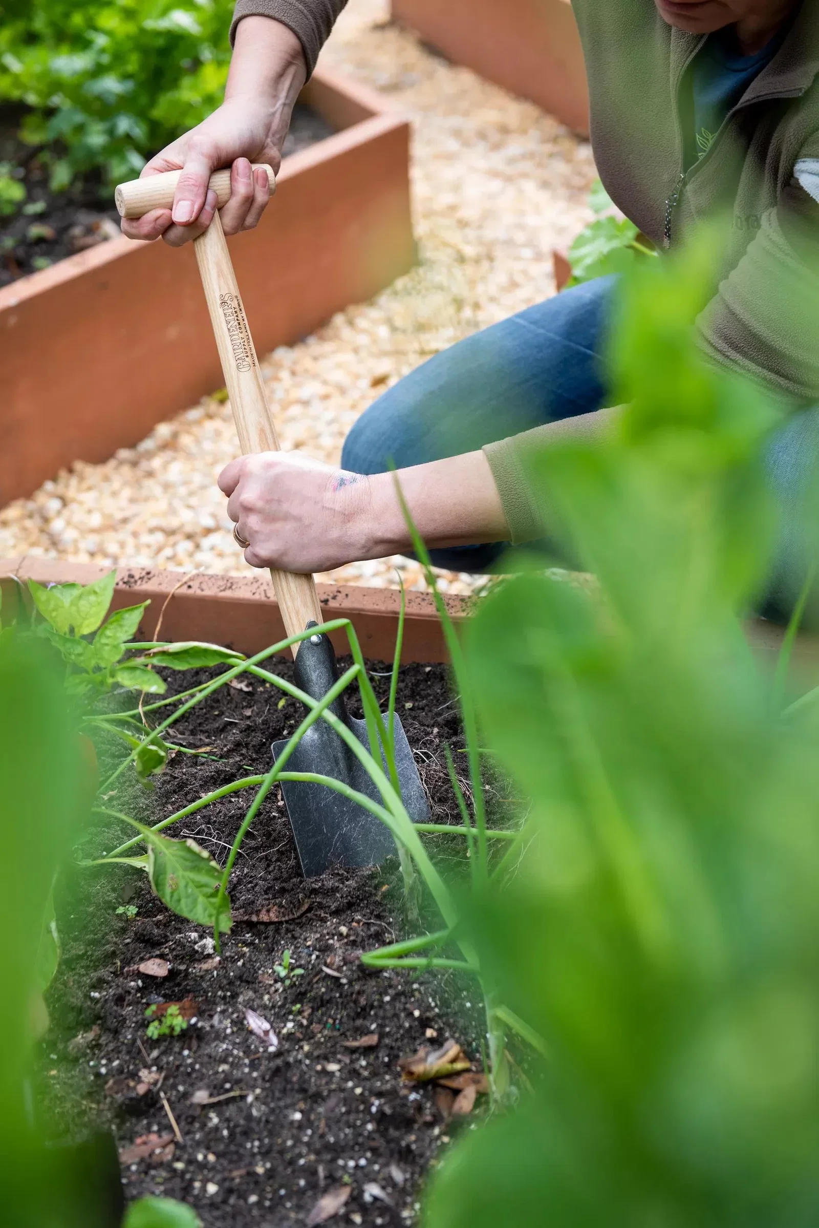 Image of Gardener's Lifetime Perennial Spade with Short T-Handle