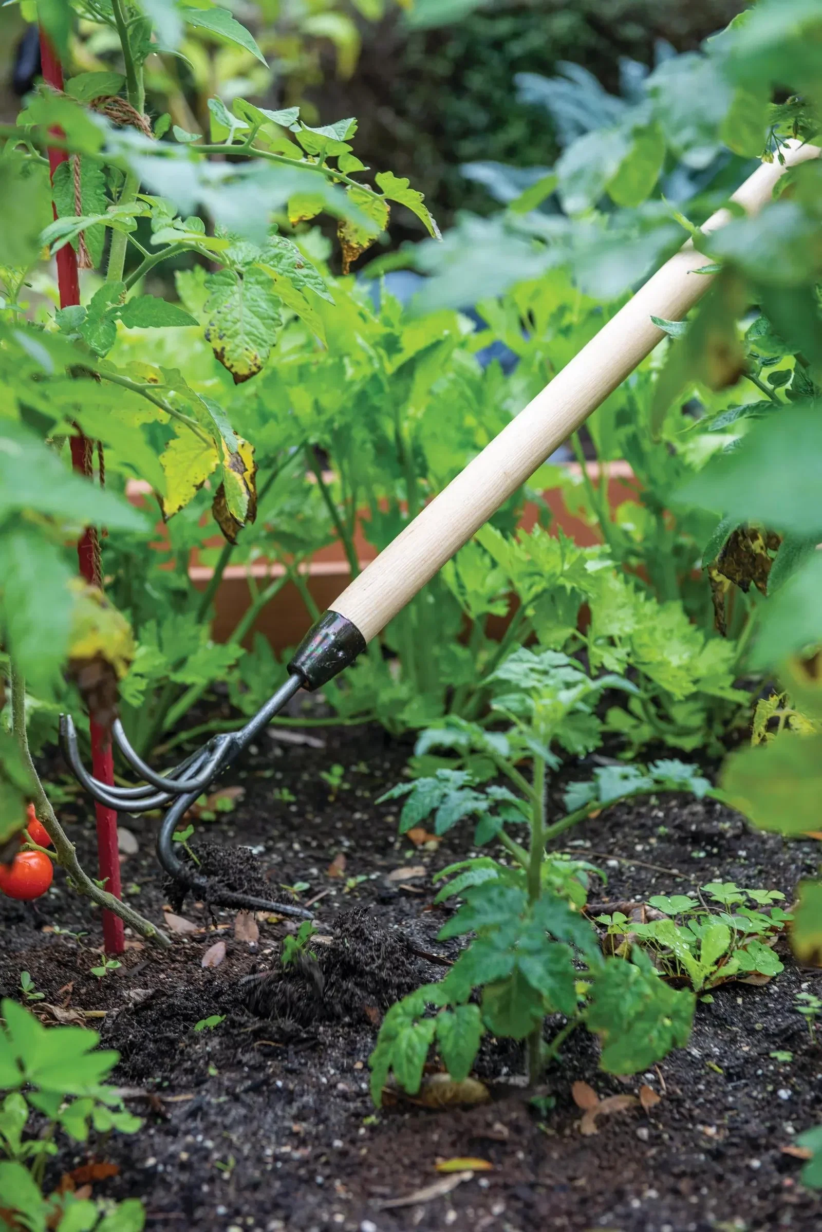 Image of Gardener's Lifetime Long-Handled Double Tool