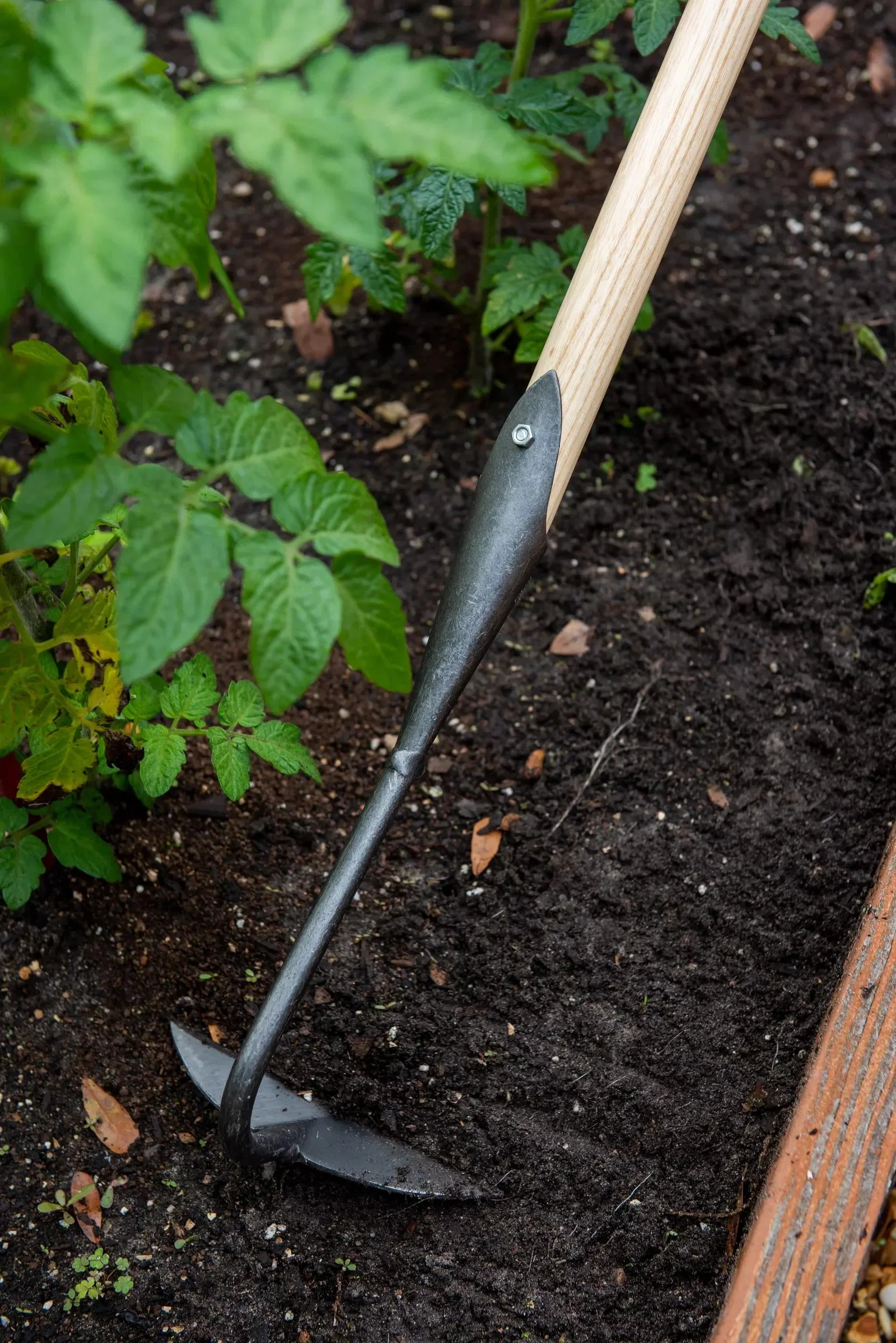 Image of Gardener's Lifetime Half-Moon Hoe