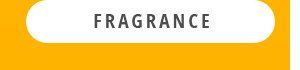 Shop Fragrance